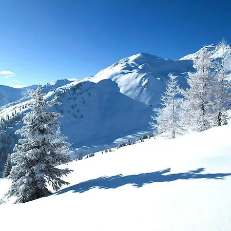 Apartmán Holiday Flat Alpin Apart Armin Aschau Otr051069 P